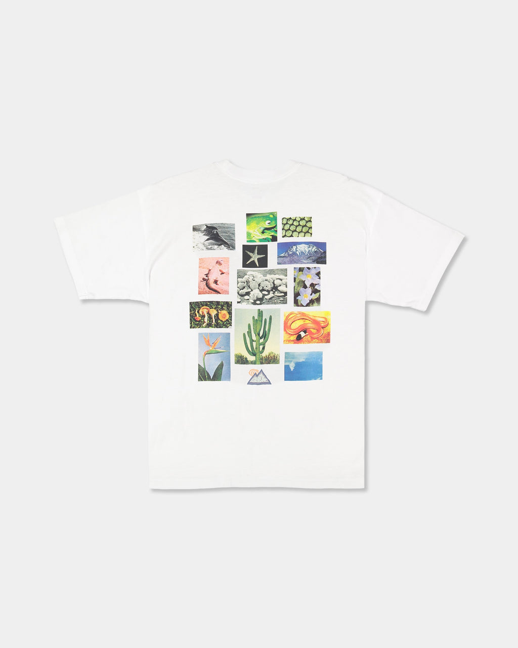 Mens Adiv Moments T-Shirt