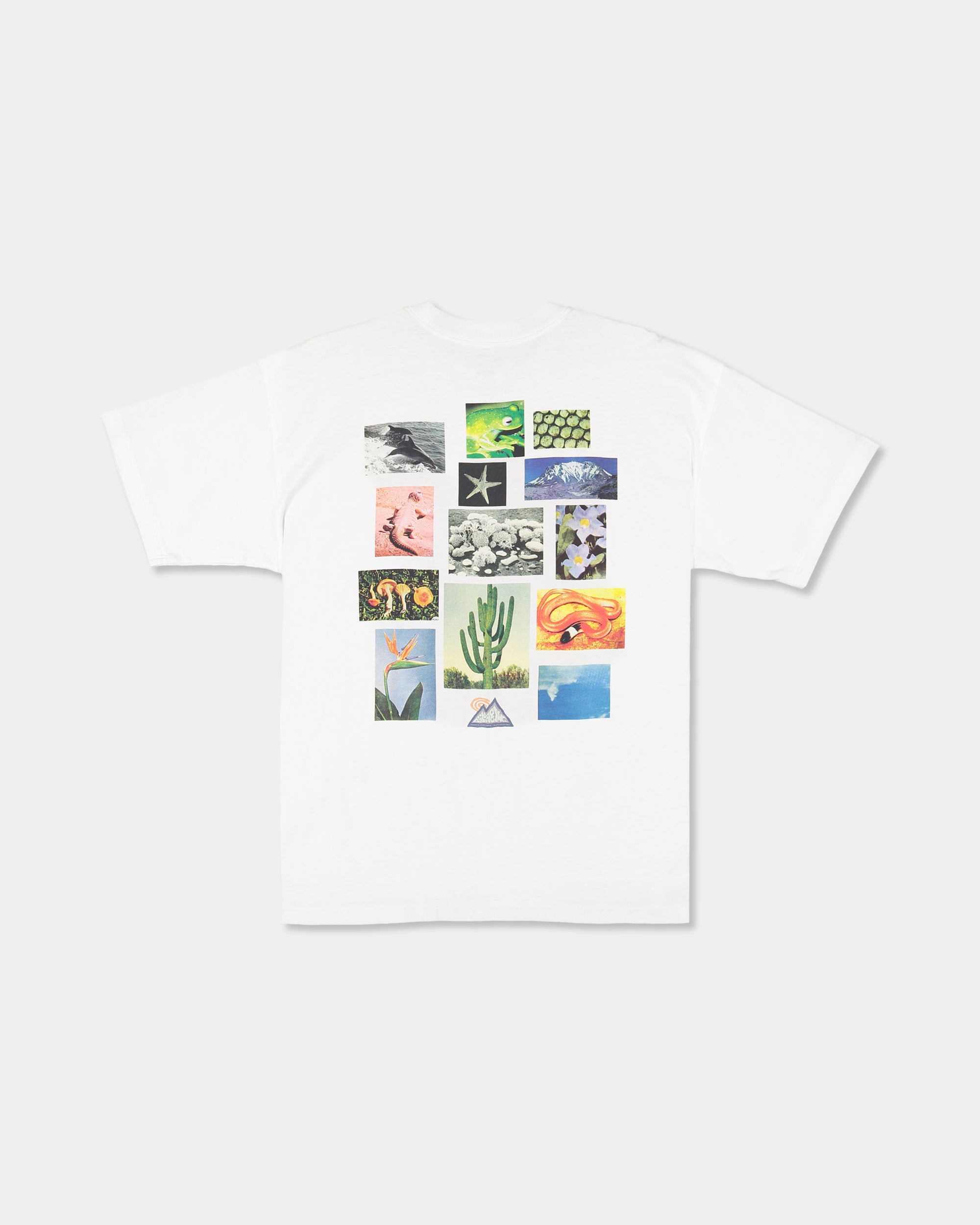 Mens Adiv Moments T-Shirt