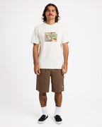 ucyws03003_volcom_brs_frt9