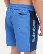 Boys 8-16 Everyday Holmes 14" Volley Shorts