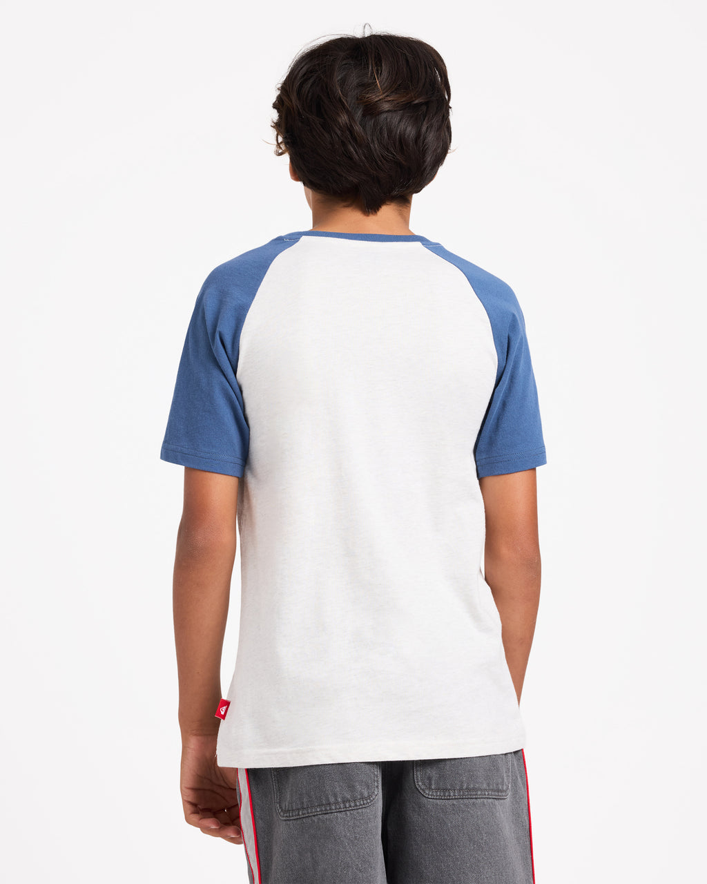 uqbkt03056_quiksilver_scvw_bck1