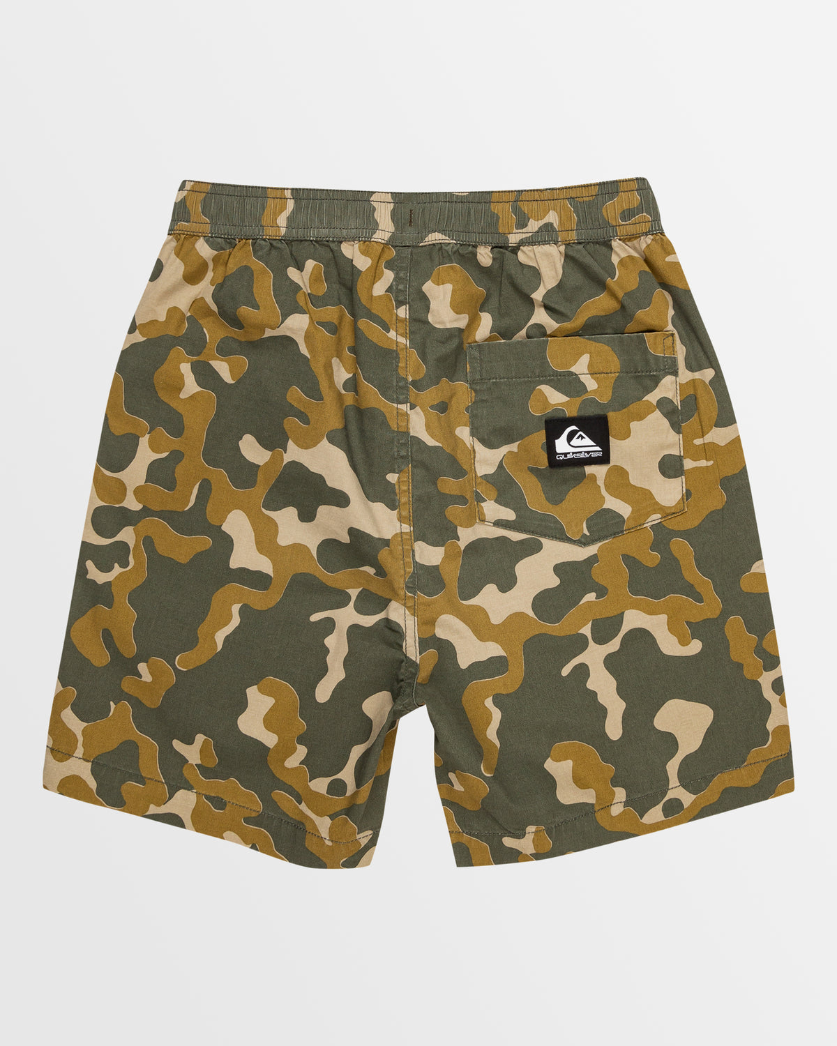 Boys 8-16 Taxer Walkshorts