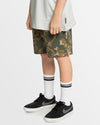 Boys 8-16 Taxer Walkshorts