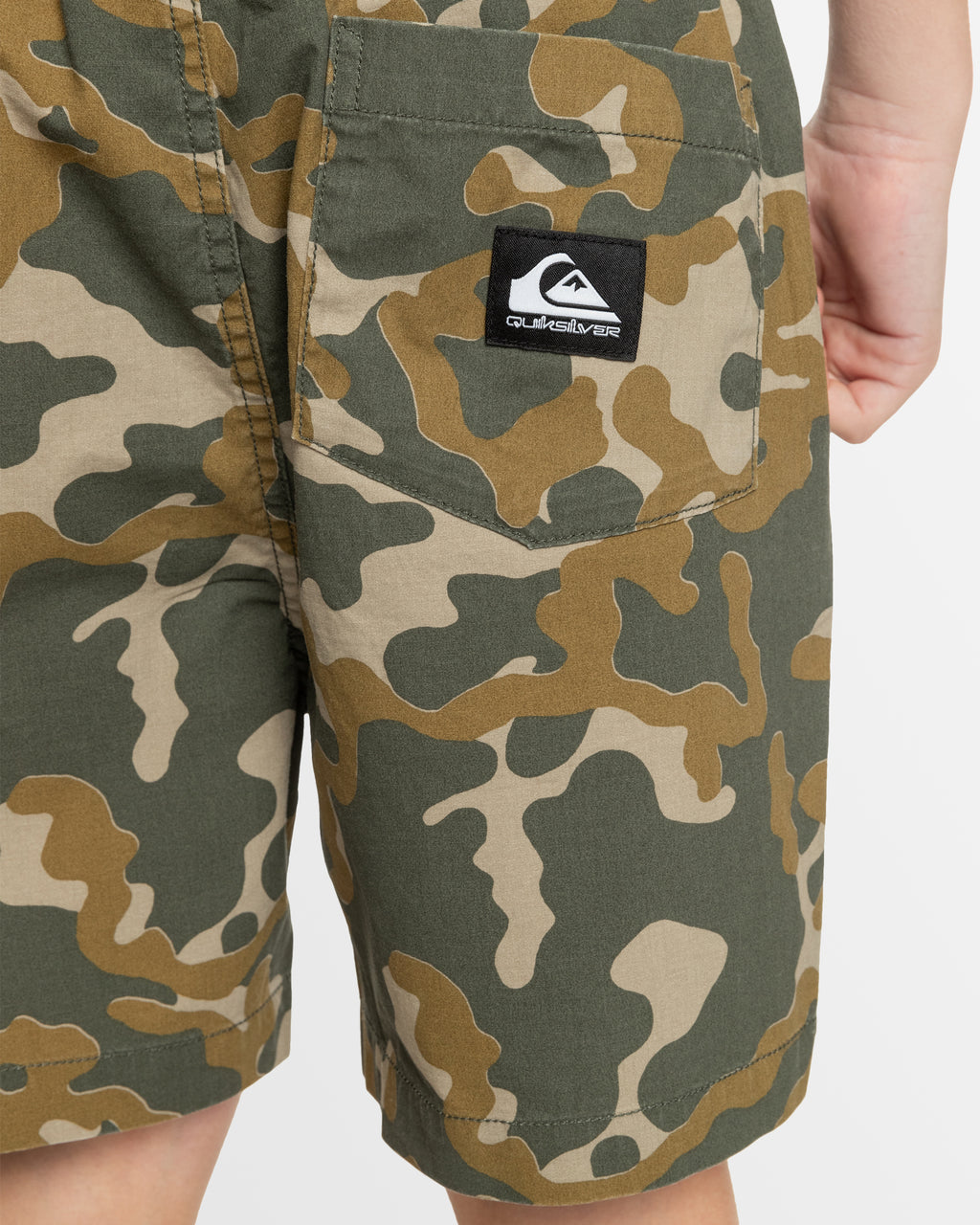 Boys 8-16 Taxer Walkshorts