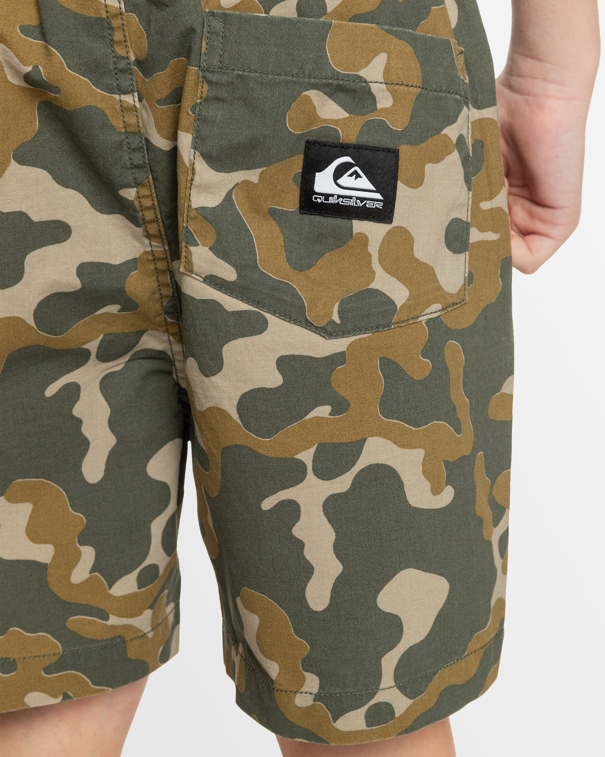 Boys 8-16 Taxer Walkshorts