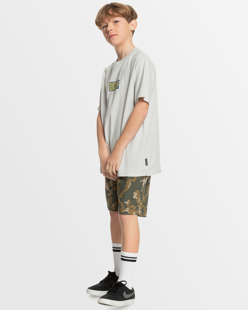 Boys 8-16 Taxer Walkshorts