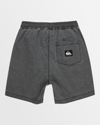 Boys 8-16 Taxer Walkshorts