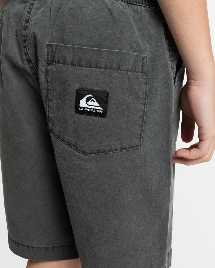 Boys 8-16 Taxer Walkshorts