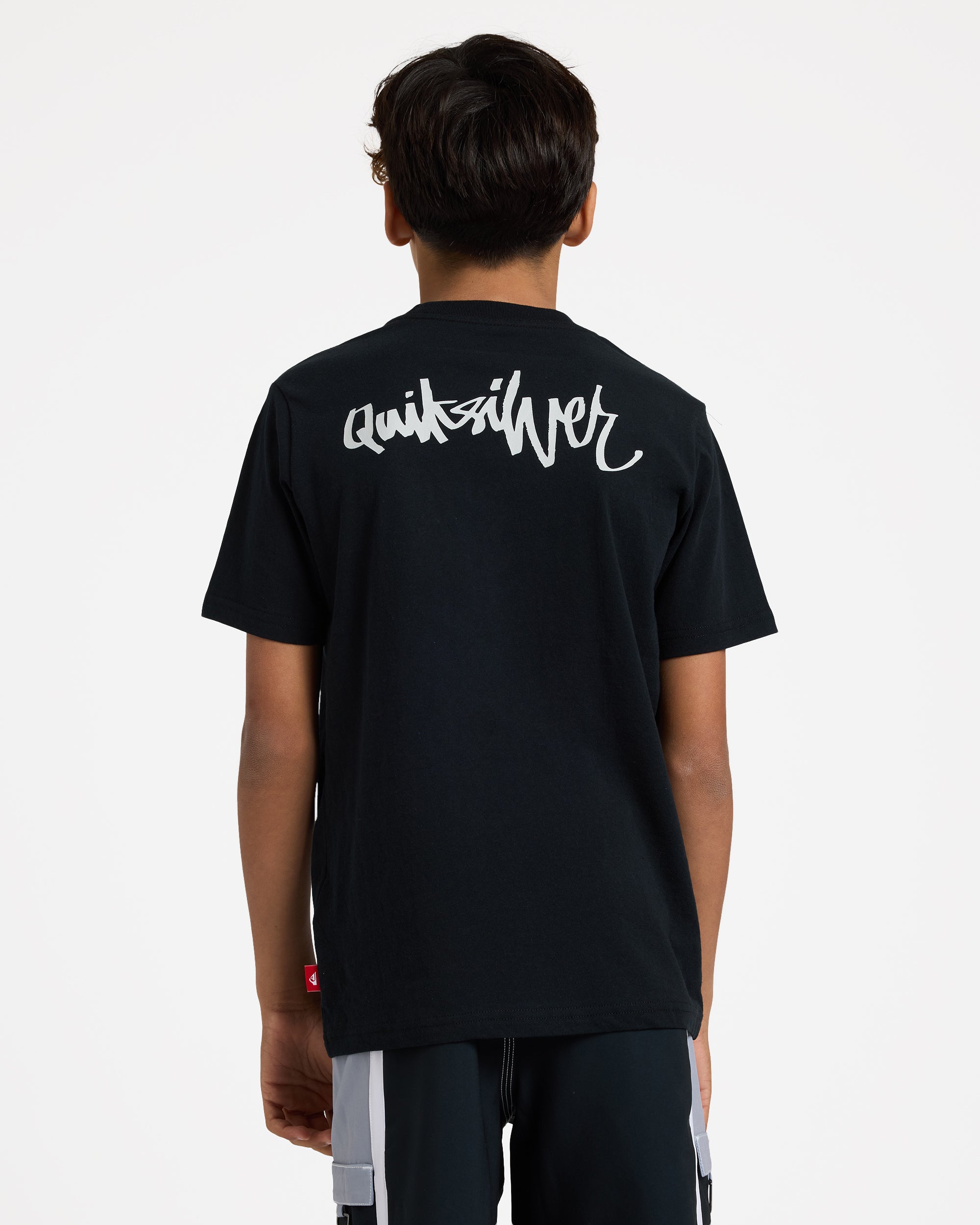 uqbzt03514_quiksilver_kvj0_bck1