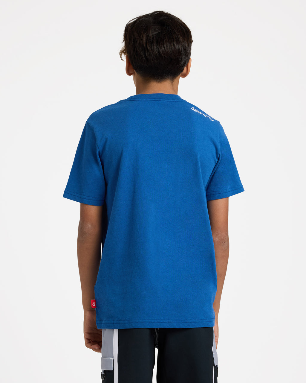 uqbzt03515_quiksilver_byc0_bck1