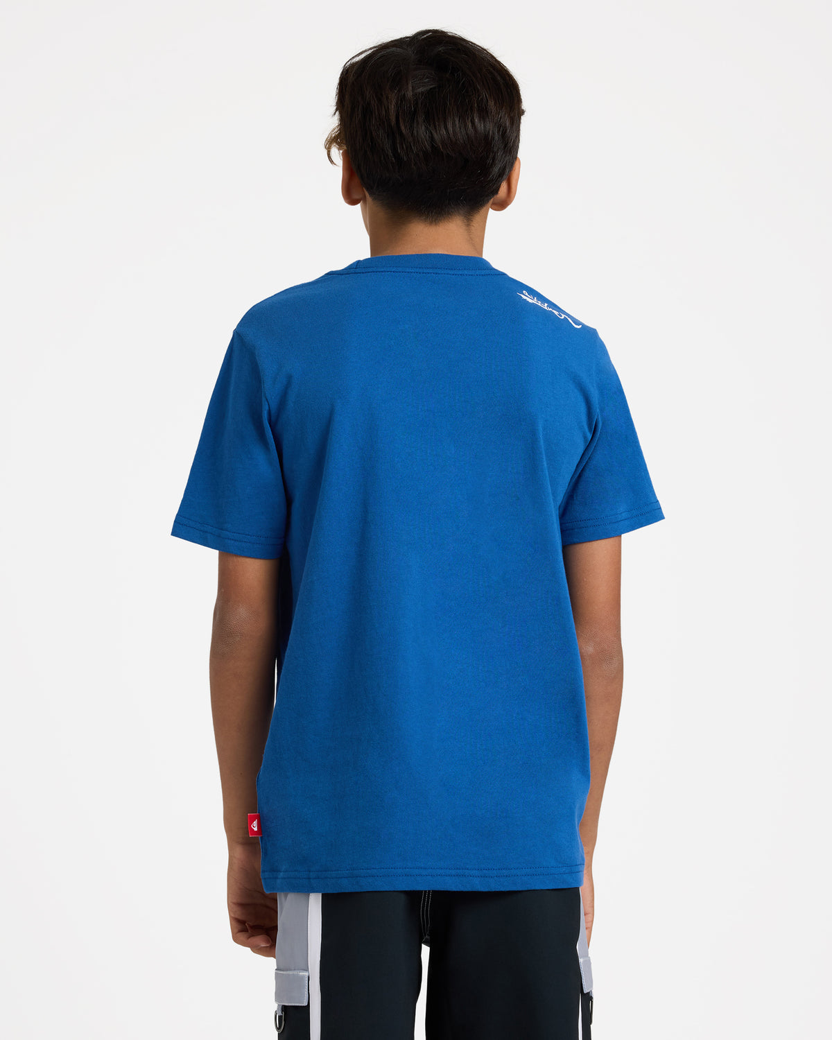 uqbzt03515_quiksilver_byc0_bck1