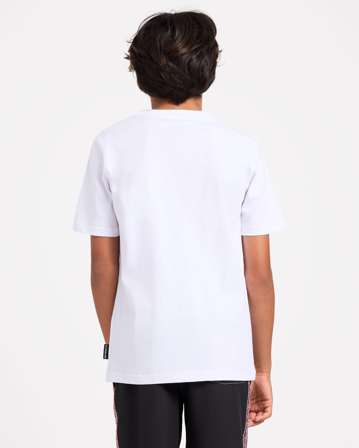 uqbzt03522_quiksilver_wbb0_bck1