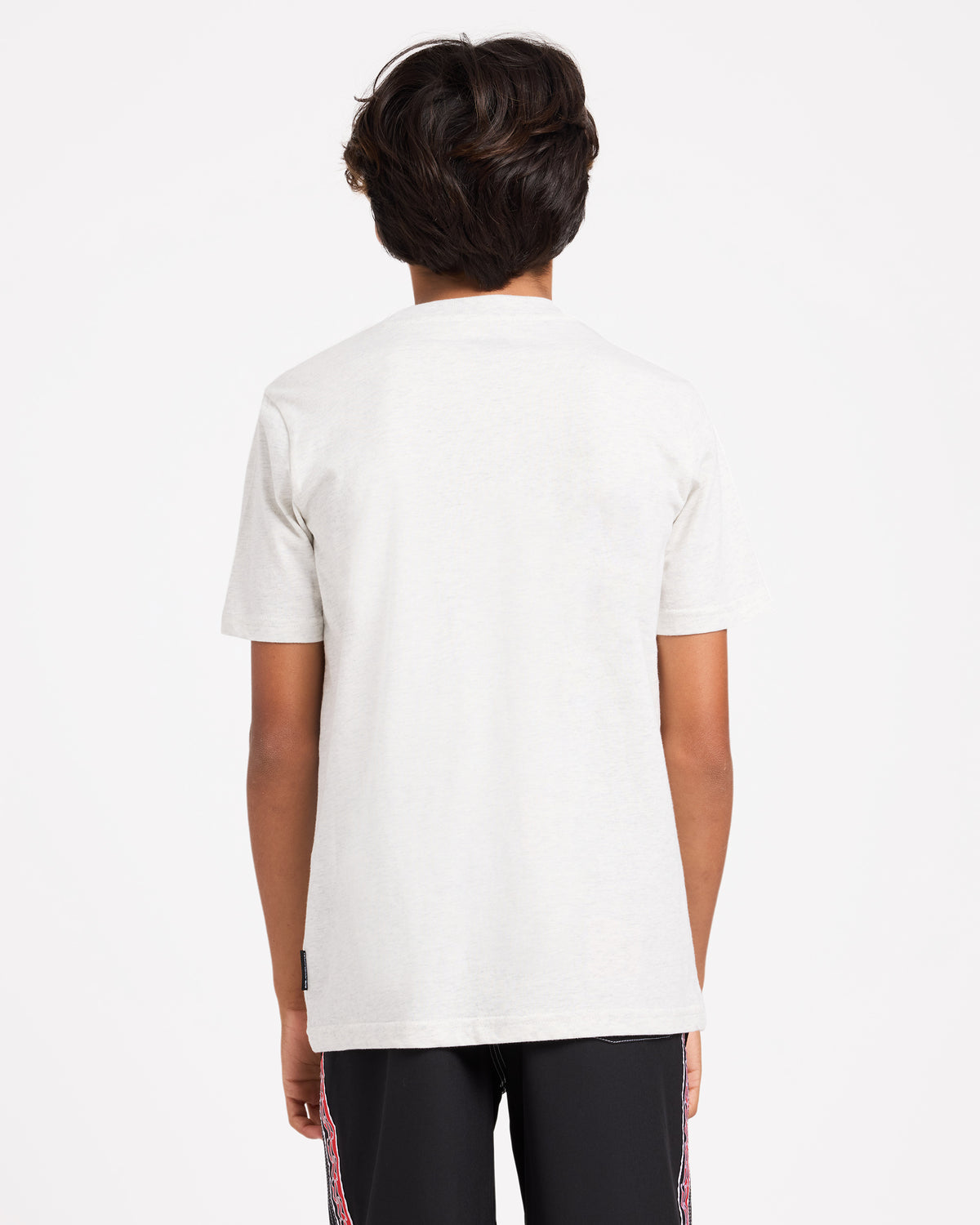 uqbzt03546_quiksilver_scvw_bck1