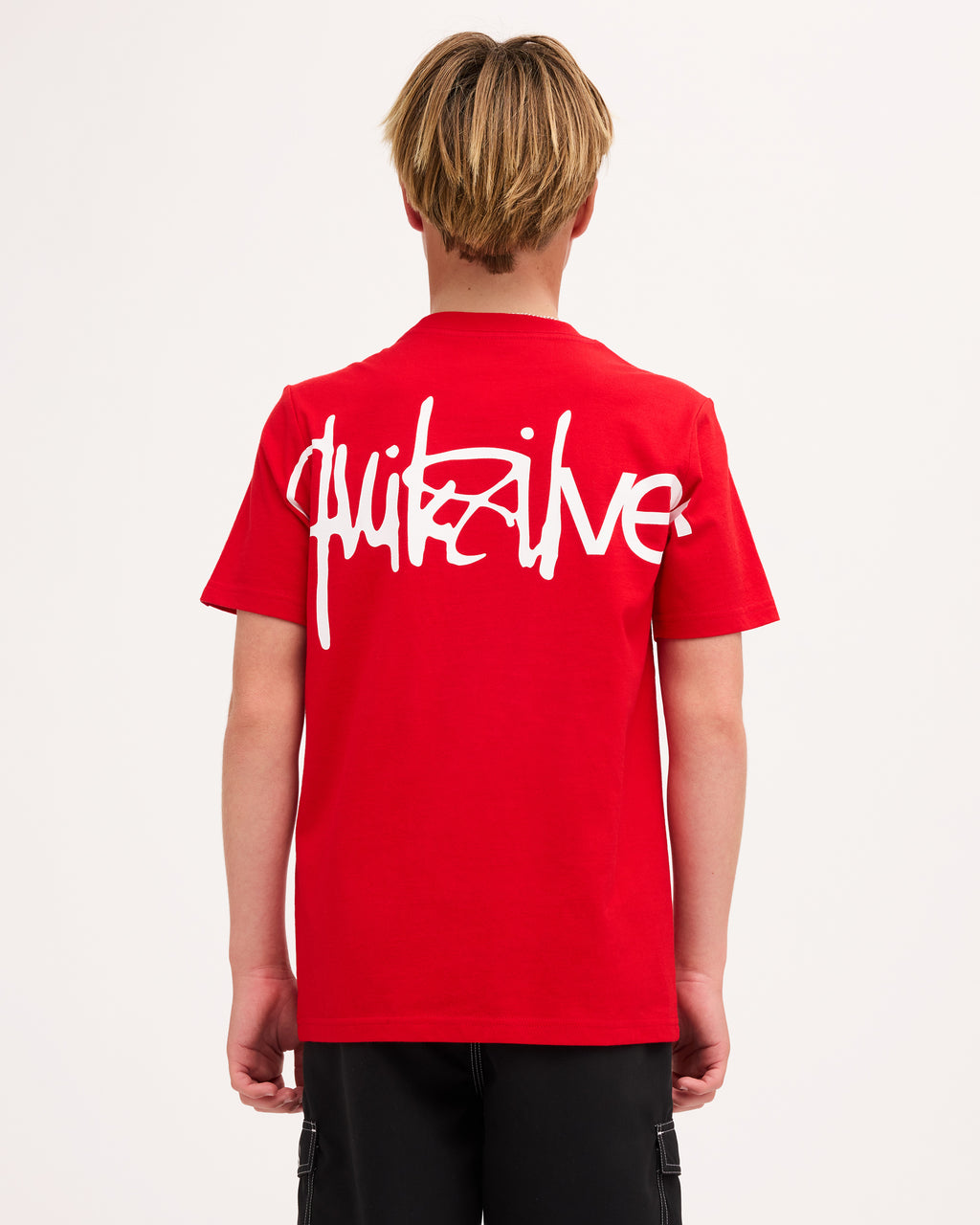 uqbzt03574_quiksilver_rzm0_bck1