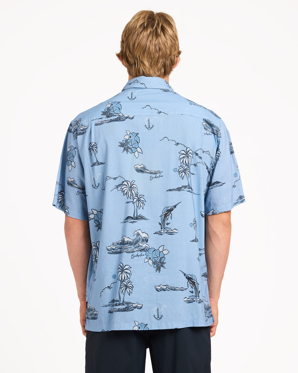 uqmwt03030_quiksilver_ahb_bck1