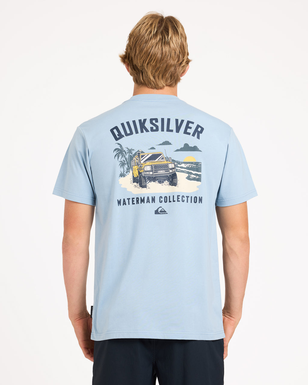 uqmzt03319_quiksilver_ash_bck1
