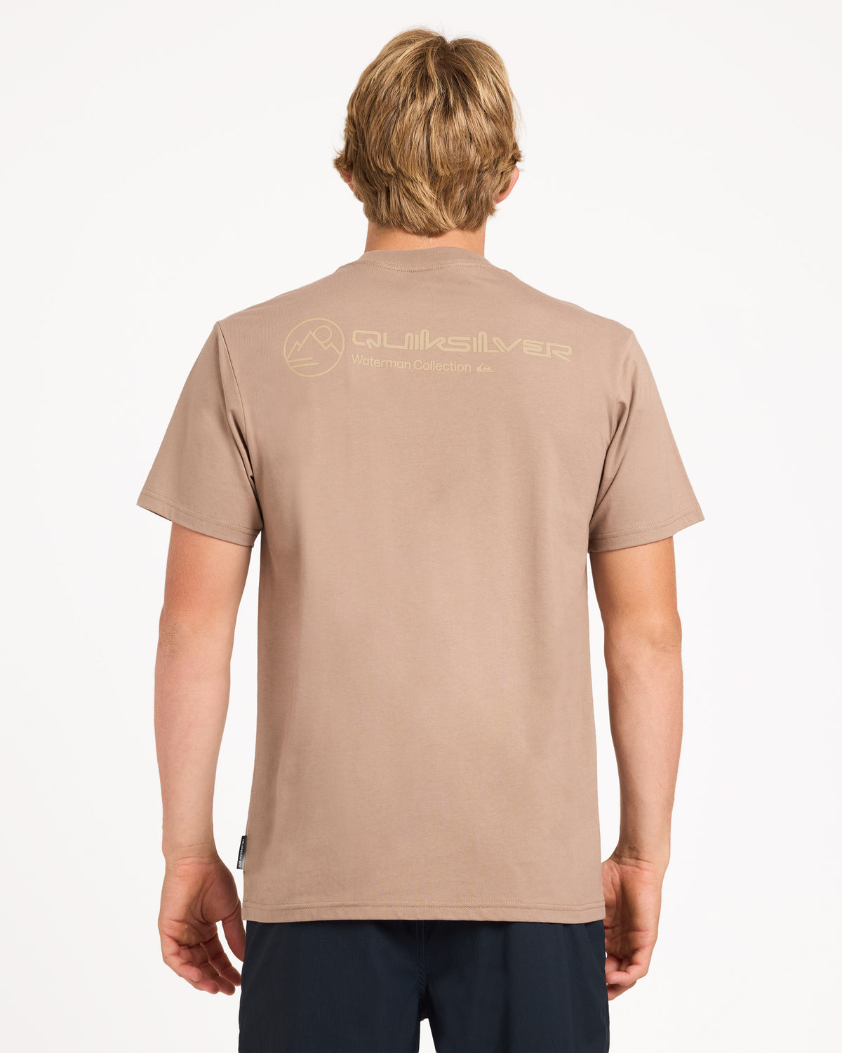 uqmzt03326_quiksilver_tnd0_bck1