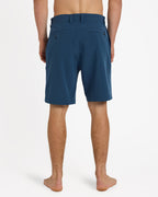 Mens Union Heather Amph 19" Hybrid Shorts