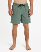 Mens Everyday Vert 2.0 17" Volley Shorts