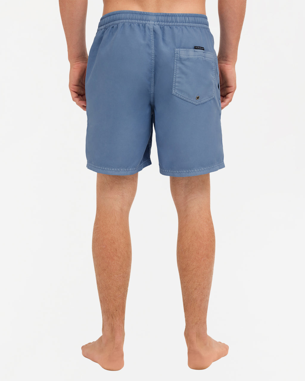 Mens Everyday Surfwash 17" Volley Shorts