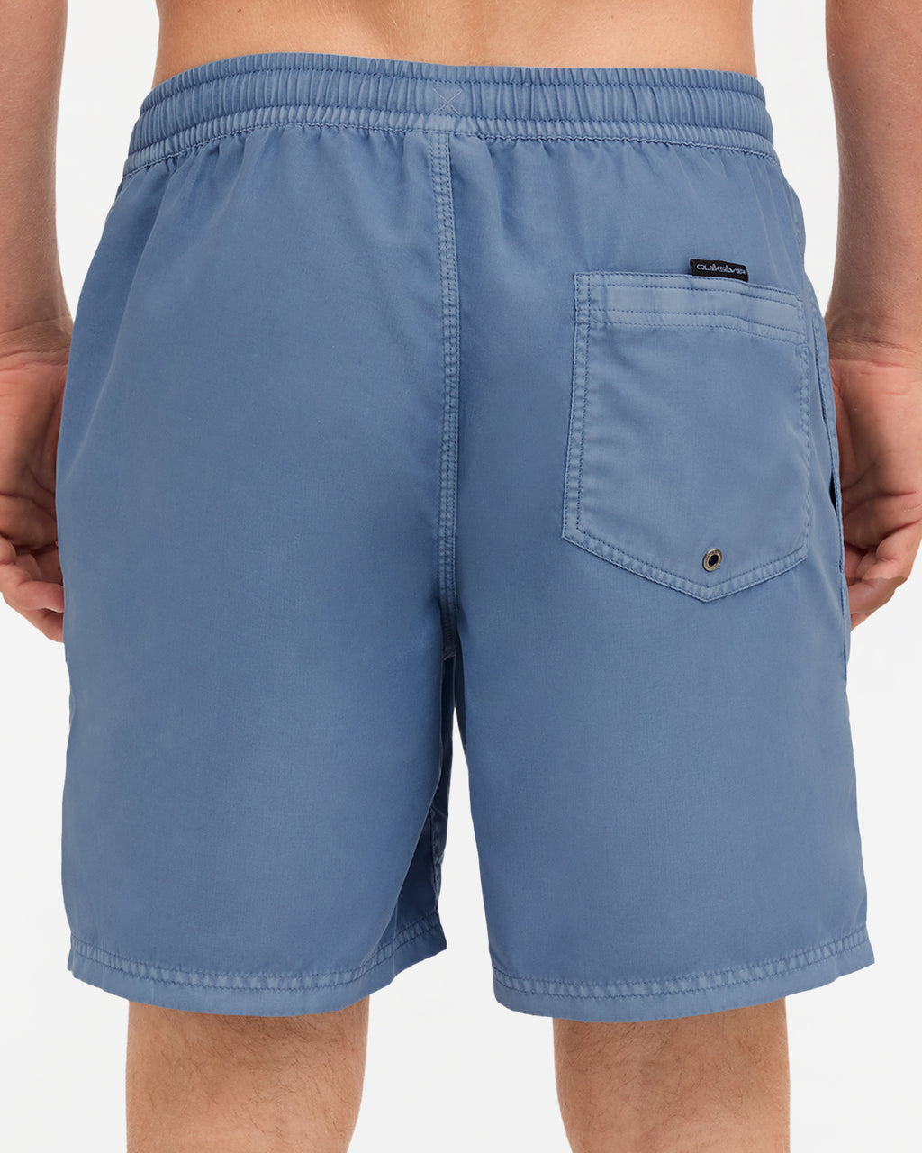Mens Everyday Surfwash 17" Volley Shorts
