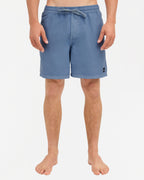 Mens Everyday Surfwash 17" Volley Shorts