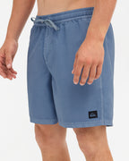 Mens Everyday Surfwash 17" Volley Shorts