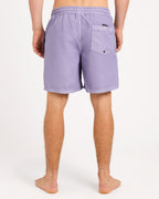 uqyjv03048_quiksilver_plb0_bck1