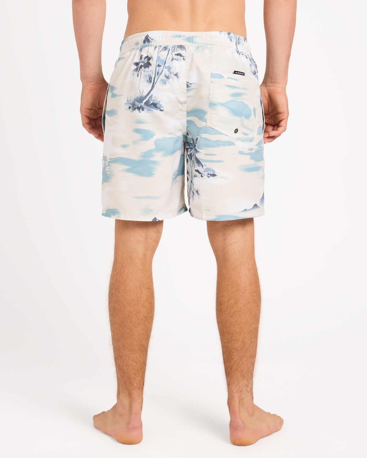 uqyjv03052_quiksilver_wbs0_bck1