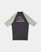 uqywr03169_quiksilver_ghg0_bck1