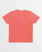 Mens Salt Water Crew Tee Swt