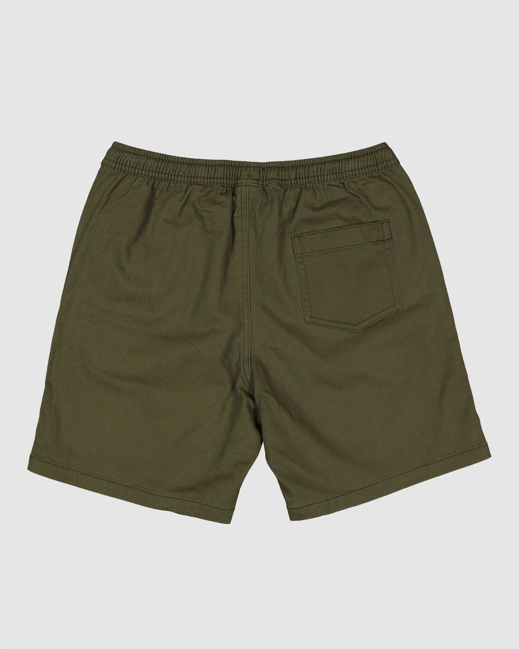 Boys 8-16 Twill Dog Walkshorts