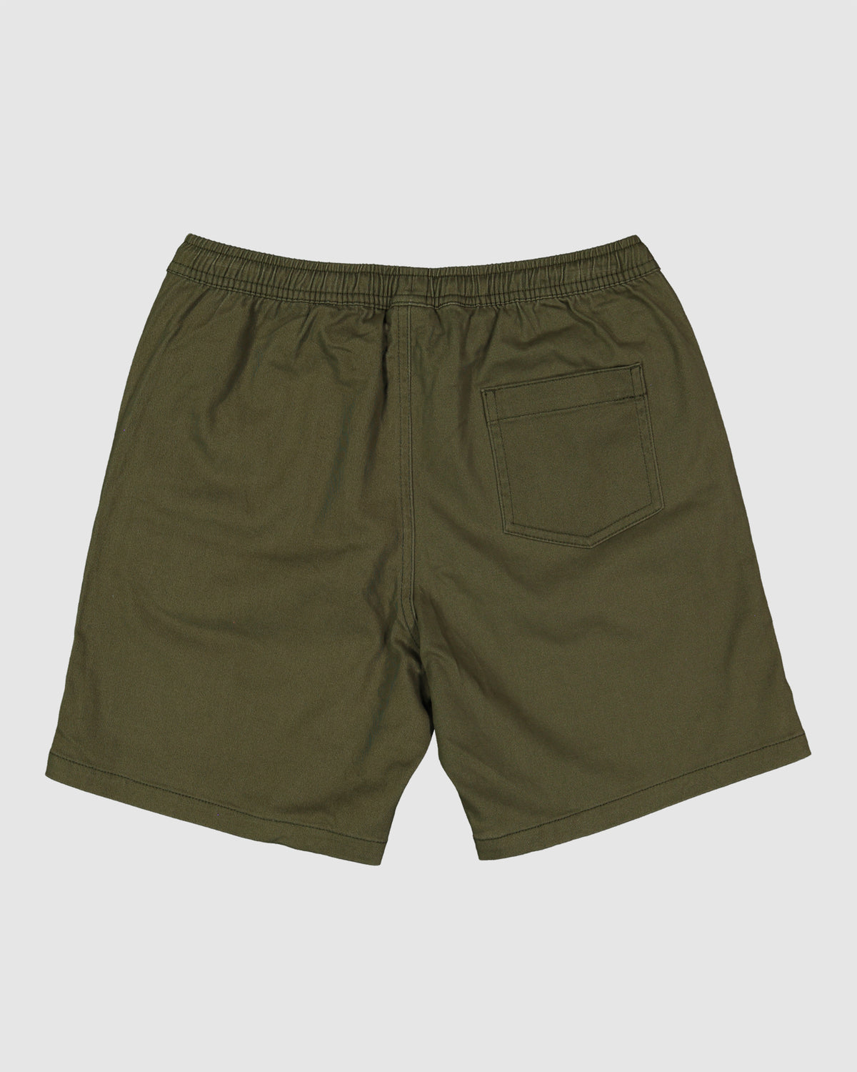 Boys 8-16 Twill Dog Walkshorts