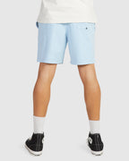MENS SALTY DOGS BOARDSHORTS