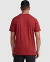 RVCA WASHED SS TEE