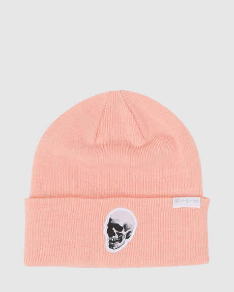 ANDY WARHOL X DC SHOES BEANIE