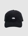 CA BEAR CAP